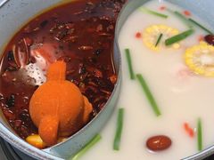 -青瓷火锅料理(西单大悦城店)