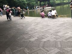 -忠山公园