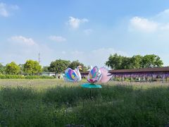 -广东花都香草世界旅游度假区