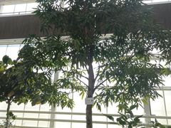 -中国农科院国家农业科技展示园