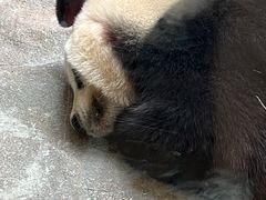 -宁波野生动物园