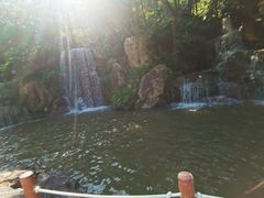 -广州市帽峰山景区