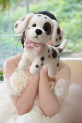 -金夫人婚纱摄影(总店)