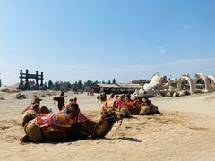 -镇北堡西部影城