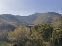 -大唐贡茶院