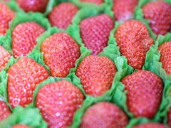 -沪上阿姨鲜果茶(华新大街店)