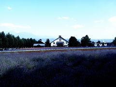 -富田农场