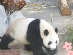 -海南热带野生动植物园