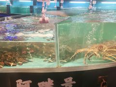 水产区-王庄阿咪海鲜大排档(象园店)