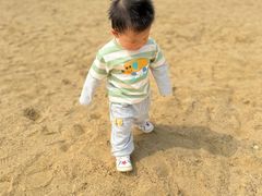 -瑶湖郊野森林公园