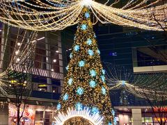 -苏小柳点心·手作小笼包(浦东嘉里城分院)