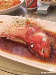 -上海大酒店·婚宴年会宴会厅