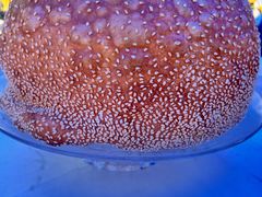 -万山楼海鲜酒家·二十三年老字号