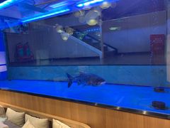 -解家河南菜(商鼎路店)