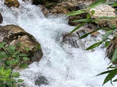 -西岭雪山大飞水景区