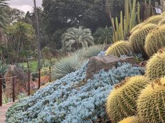 -墨尔本皇家植物园