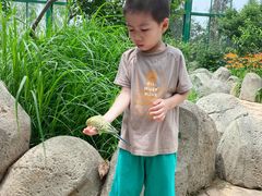 -北戴河集发农业梦想王国
