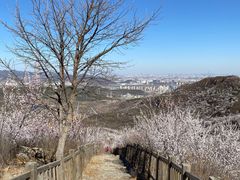 -定都峰