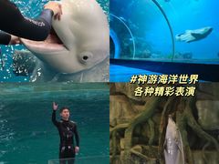 -威海华夏城景区