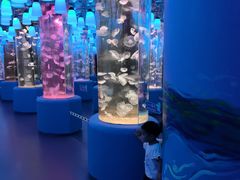 -欢乐海岸海洋奇梦馆