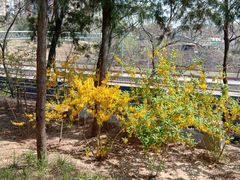 -长辛店二七公园