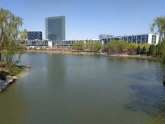 -大兴滨河森林公园