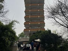 -鹅岭公园瞰胜楼