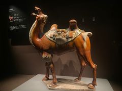 -洛阳周王城天子驾六博物馆