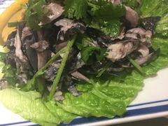 -喜喜水饺
