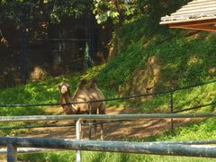 -大连森林动物园