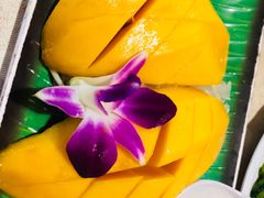-Jungle Kitchen