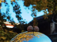 -北京石刻艺术博物馆(五塔寺)
