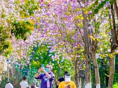 -攀枝花公园