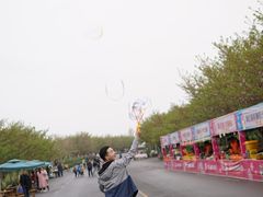 -古柏渡飞黄旅游区