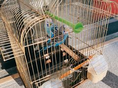 -运河通源农贸市场