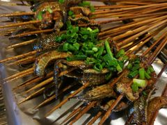 -晓靖轩烧烤(沙河风情店)