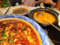 -新概念来凤鱼(璧山店)