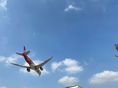 -空港花田景区