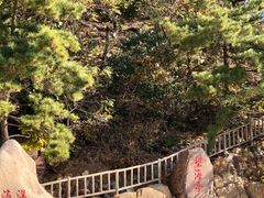 -棒棰岛宾馆景区