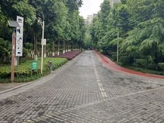 -龙头寺公园