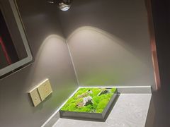 -华夏良子·足道SPA艾灸(金皇大厦店)