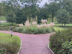 -眉山湿地公园(东坡区)