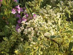 -幕燕滨江·长江观音景区