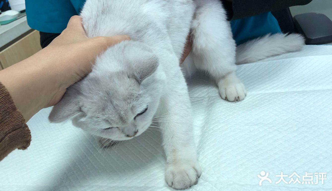 带家里的小祖宗来看病