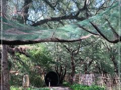 -北海金海湾红树林生态旅游区