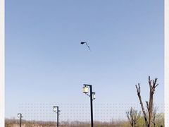 -汉长安城未央宫国家考古遗址公园