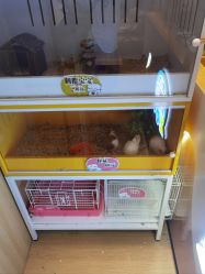 -小象动悟公园(龙湖亦庄天街店)