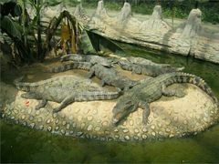 -石家庄市动物园