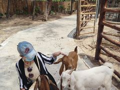 -六鳌翡翠湾滨海度假景区