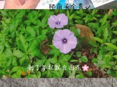 -清源山风景区